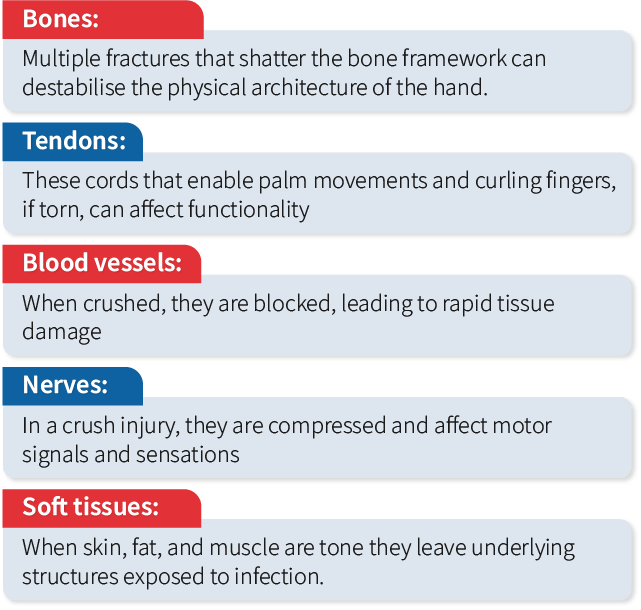 Types of tissues 